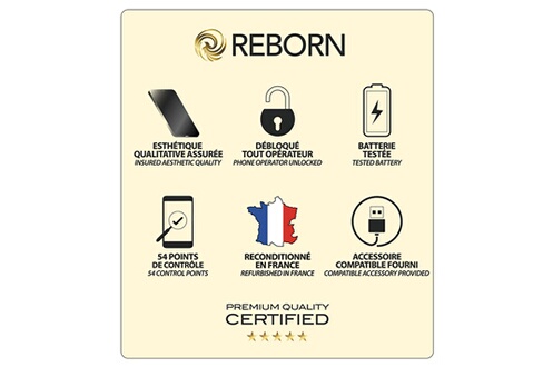 Reborn Reconditionné Galaxy S10 128Go Noir Grade A