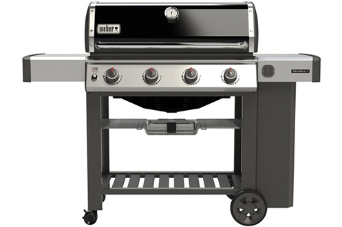 Genesis II E-310 GBS