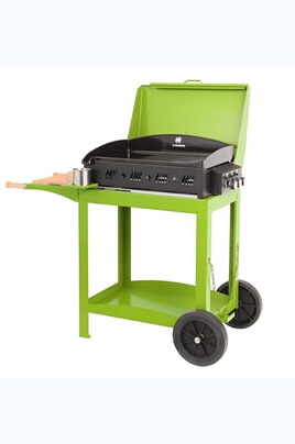 Barbecue et plancha