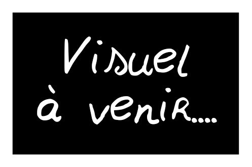 Lave-linge séchant