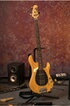 Cabasse ANTIGUA MC170 CHENE FONCE VENDUE PAR PAIRE photo 6
