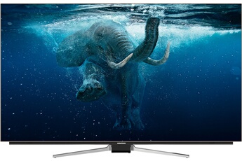 TV OLED Grundig 55VLO9895BP Darty