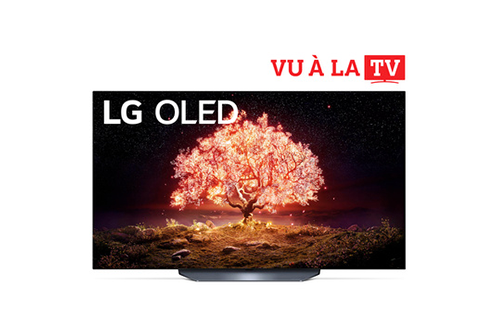 Problème dd externe sur tv lg oled b7 – LG Televiseur OLED – Communauté SAV  Darty 4028316