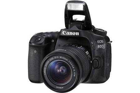 Canon EOS 80D 24,2 Mpix Appareil Photo Reflex Numérique - Noir (Boîtier