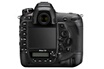 Nikon D6 NU photo 2