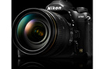 Nikon D780 + 24-120mm f/4 VR photo 2