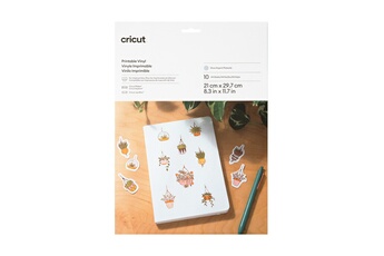 Cricut - Vinyle Imprimable - Argent