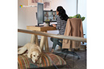 Microsoft Abonnement Microsoft 365 Personnel (12 mois - 1 utilisateurs) | version boite photo 5