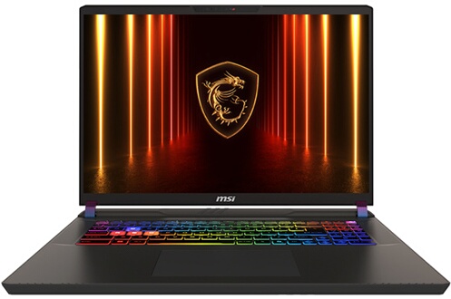 ”Gaming MSI Vector 17 HX AI A2XWJG-005FR 17”” QHD+ 240 Hz Copilot+ Intel® C