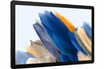 Samsung GALAXY TAB A8 WIFI 64GO ANTHRACITE photo 2
