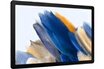 Samsung GALAXY TAB A8 4G 128GO ANTHRACITE photo 2