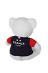 Gipsy FFF - OURS AVEC T-SHIRT FFF 25 CM photo 2