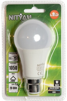 Ampoule LED Nityam GLOBE DEPOLIE B22 12W