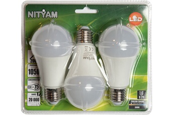 Ampoule LED Nityam GLOBE DEPOLIE E27 12W (X3)