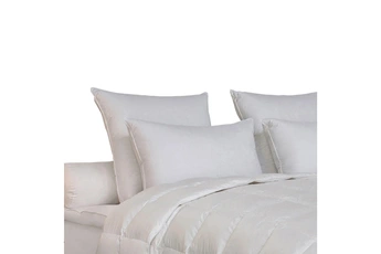 DROUAULT - TITANIUM 50X75 70% DUVET OIE ET CANARD