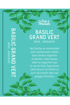 Potager d'intérieur Pret @ Pousser Capsule Prêt à Pousser - Basilic Grand  Vert - CAPS3-LNGRE-BGV