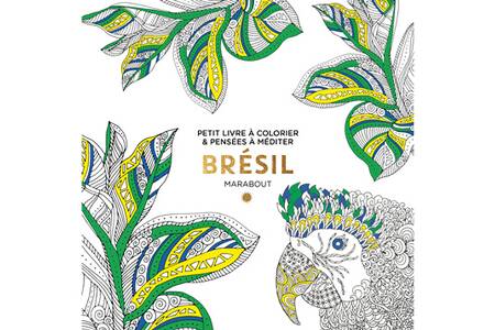 Livre Beaute Sante Forme Marabout Coloriage Bresil Darty