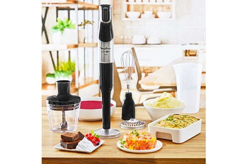 Mixeur Plongeant Moulinex Infinyforce Pro DD95HD10 - Argent/Noir - Neuf Sous Blister