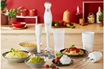 Moulinex ROBOT MARIE 450 W + 4 ACCESSOIRES PIED MIXEUR DDG25110 photo 2