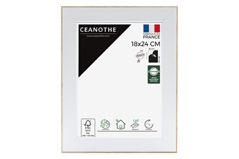 CADRE 18x24 NEWTON BOIS ET
