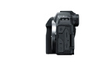 Canon Pack EOS R8 + RF 24-105mm F/4-7.1 IS STM + 2ème Batterie photo 6