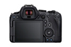 Canon EOS R6 Mark II + RF 24-105MM F/4 L IS USM photo 2