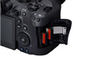 Canon EOS R6 Mark II + RF 24-105MM F/4 L IS USM photo 3