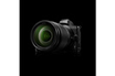 Nikon Z 5 + Z 24-200mm f/4-6.3 VR photo 2