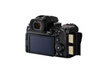 Panasonic Lumix S5 Mark II + S 20-60mm f/3.5-5.6 photo 4