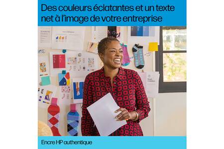 HP Cartouche Jet D'encre Couleur 343 C8766 HEWLETT-PACKARD - Cartouche