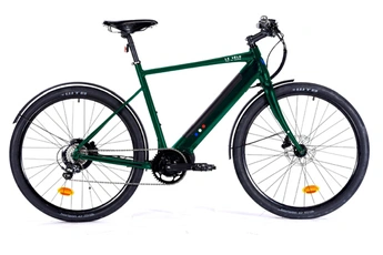 Vélo électrique Le Velo Mad SPORT+ VERT T50 (selle Brooks Cambium) Moteur Central