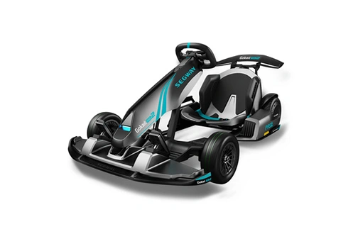 Kart electrique 3-en-1Segway Gokart PRO 2