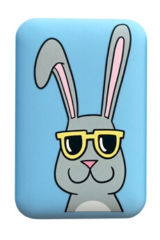 Batterie externe Tiffany cooper 10.000 mAh