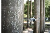 Dji Mini 3 pro photo 10