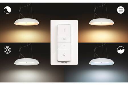 Suspension Philips Hue Amaze Blanche – 3000 Lm – Avec Variateur – Occasion