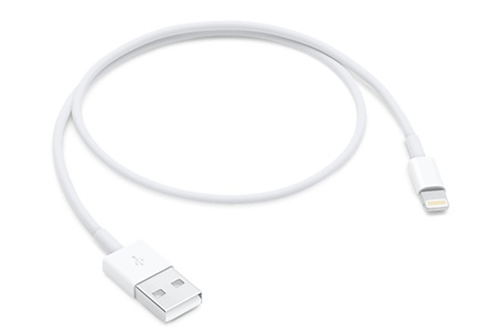 Câble téléphone portable Apple CABLE LIGHTNING VERS USB 0.5M - LIGHTNING