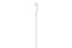 Apple Câble Lightning vers USB-C 1m photo 3