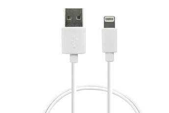 Câble USB-A vers Lighting MFI BLANC 80CM