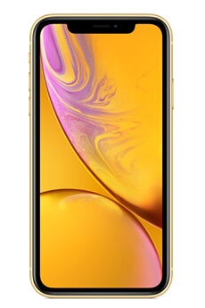 Apple iPhone XR 256GB （ブルー） Apple iPhone XR 256 Go Bleu - Mobile & smartphone - LDLC