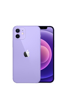 iOS 15 - 4 Go RAM - 64 Go ROM / Ecran OLED tout écran de 6,1 pouces (diagonale) / Processeur Apple / Double appareil photo 12 Mpx : grand-angle et ultra grand-angle