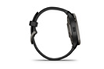 Garmin Venu 2 Plus Gray avec bracelet en silicone noir photo 3