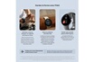Google Pixel Watch Boîtier en Acier Inoxydable Noir Mat avec Bracelet sport Noir volcanique photo 5